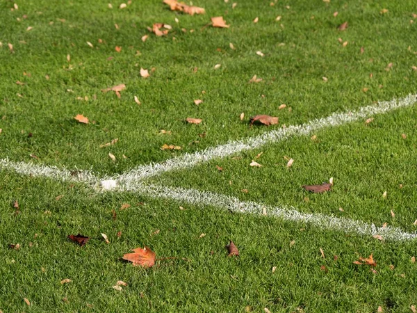 Verlaten voetbal speeltuin in herfst seizoen. — Stockfoto