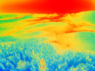 Infrared scan of hilly landscape pine forest with colorful fog  clipart