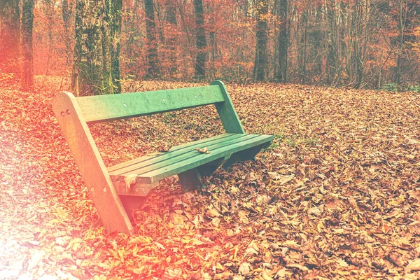 Chair in park under leaves with lens flare effect. Vintage tone. — Stock Photo, Image