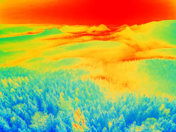 Infrared scan of hilly landscape pine forest with colorful fog — Stock Photo, Image