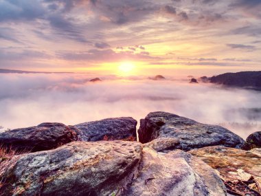 Kayalık uçurumun kenarı. Kumtaşı yaylalarının gizemli manzarası