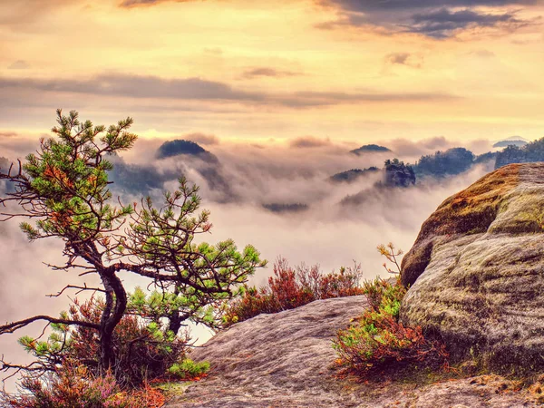 Fantastische Berglandschaft, surrealer rosa und lila Nebel — Stockfoto