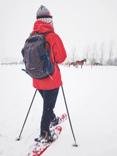 Esporte corpo mulher está caminhando na fazenda de cavalos com sapatos de neve — Fotografia de Stock