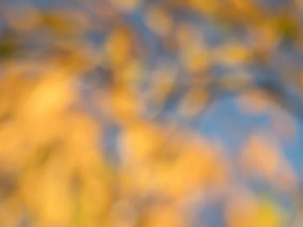 Fundo de outono - folhas coloridas desfocadas — Fotografia de Stock