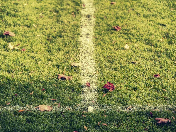 Fotbollsplan med fallna löv för bakgrund. — Stockfoto
