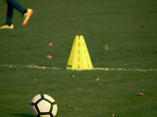 Pratique de vitesse sur terrain de gazon vert avec cône jaune — Photo