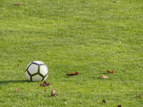 Linee bianche sul campo da calcio. Dettaglio di a di linee bianche — Foto Stock