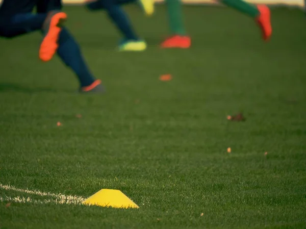 Cono de entrenamiento amarillo. Equipo de entrenamiento de fútbol en el parque infantil —  Fotos de Stock