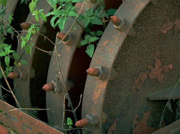 Dettaglio di vecchio pacciame marcio in giardino. Strumento abbandonato — Foto Stock