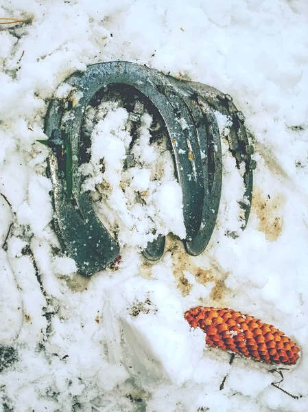 背景の雪の中で摩耗した馬の靴を取り除く — ストック写真