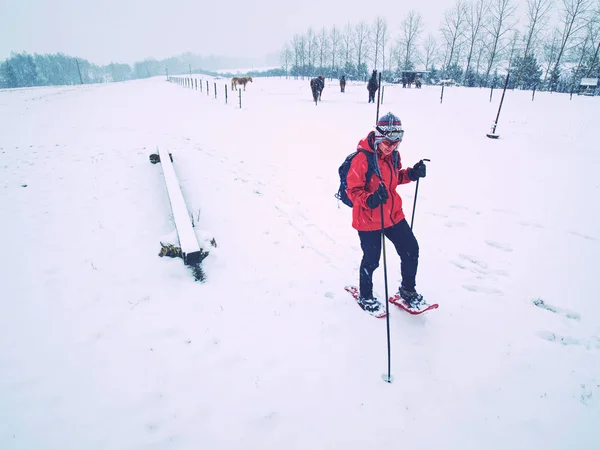 Frau auf Winter-Abenteuerreise mit Schneeschuhen im Neuschnee — Stockfoto