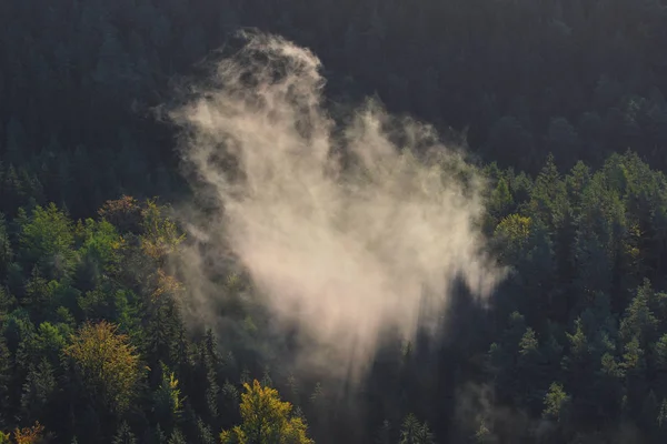 Groene berg bos landschap. Misty Mountain forest. — Stockfoto