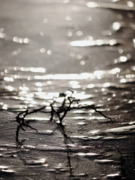 Mörk skorpa av gnistrande is med reflektioner — Stockfoto