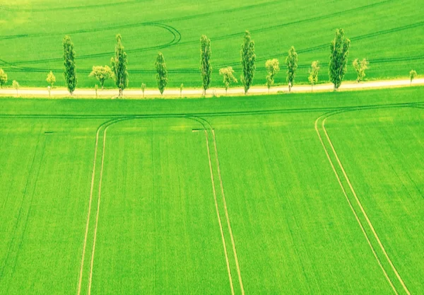Prokládané pole. Pole ze vzduchu. Letecký snímek pole. — Stock fotografie