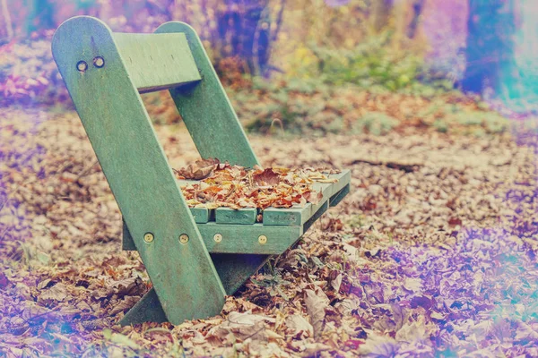 Krzesło w parku pod liśćmi z efektem pochodni obiektywu. Dźwięk w stylu Vintage. — Zdjęcie stockowe