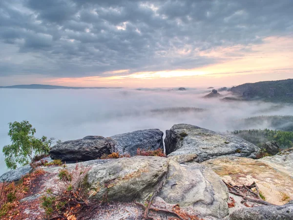 Fantástico paisaje montañoso, surrealista niebla rosa y púrpura — Foto de Stock