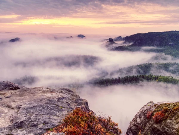 Rocas en el borde de una montaña. Niebla valle de montaña — Foto de Stock