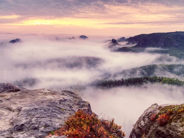 Felsen am Rande eines Berges. nebliges Gebirgstal — Stockfoto