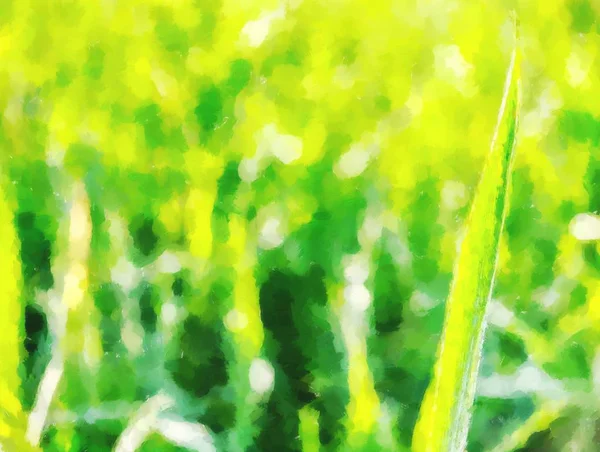 De la peinture. Jeune champ de blé vert, jeune blé — Photo