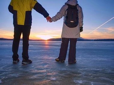 Donmuş deniz koyunda sevimli bir çift. Gölette bir arada lar.