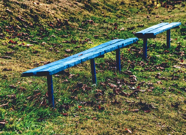 蓝色废弃的长凳上长着秋叶 秋天的开始时间小黄秋叶在长凳上 — 图库照片