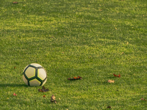 Pallone da calcio, coni marcatori e acqua in bottiglia sul tappeto erboso verde — Foto Stock