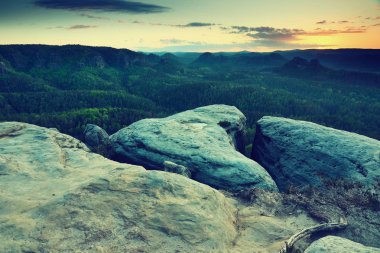 Taze yeşil ormanlar ile dolu uzun bir vadi. Sisli orman vadisi 