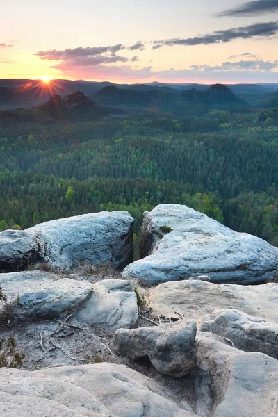 Dlouhé údolí plné čerstvých zelených lesů. Zamlžené lesní údolí — Stock fotografie