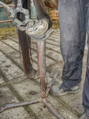 Aşınmış ve büyümüş at toynakları ayarlayın. 