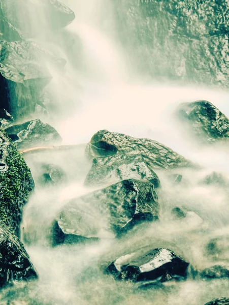 Rocky Mountain stream oppervlakte herfstbladeren gezicht — Stockfoto