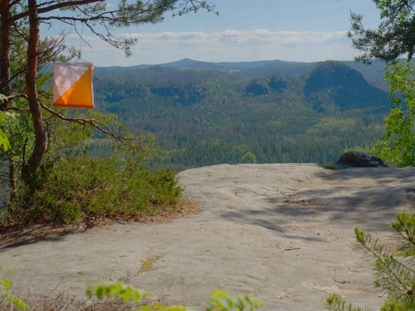 White orange flag marks checking point for orienteering run hangs on tree in difficult forest and rocky terrain in sandstone rocky park.
