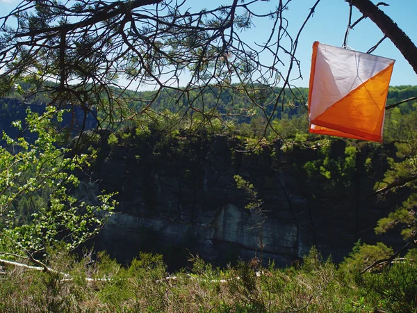. Orienteering white orange flag in forest within local run