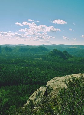 Kumtaşı kayalar popüler iz. Yuvarlak zirve kaya 