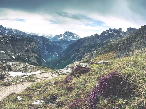 Droog gras en heather struiken op trekking bergpad. — Stockfoto