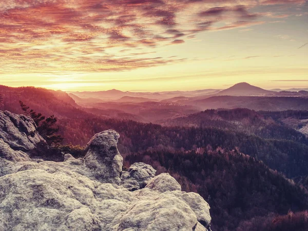 Wild hilly landscape. Early misty morning in beautiful rocks — Stock Photo, Image