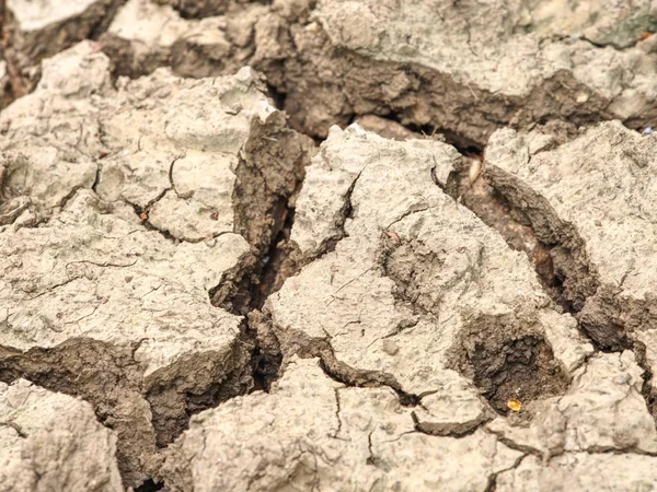 Shora se objevily trhliny ve slaném bahně. Trhliny v blátě kvůli suchu. — Stock fotografie