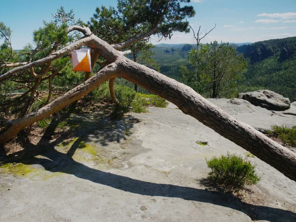 Orientalischer Lauf in wunderschöner Felslandschaft inmitten tiefen Waldes. — Stockfoto