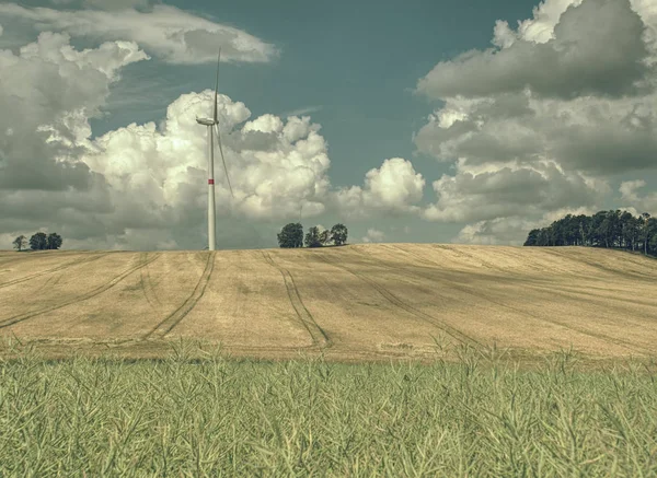 Energia a buon mercato. turbine eoliche in campo con cielo blu — Foto Stock