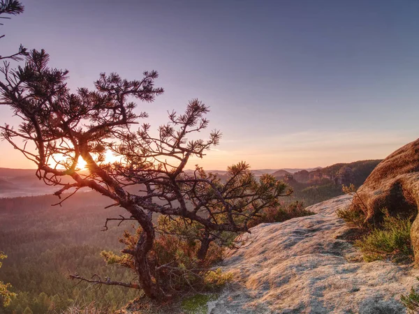 Hiking Path Uphill in Mountains.  Flares in camera lens from Sun — Stock Photo, Image