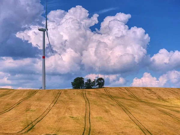 Nový větrný mlýn v čerstvé oblasti pšenice s kumulamerickými mraky — Stock fotografie