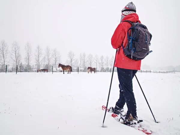 Mujer raquetas de nieve en caída de nieve. Nubes grises oscuras — Foto de Stock