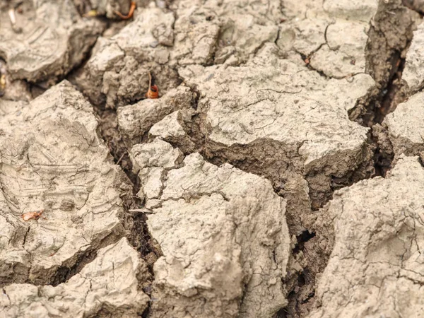 上から塩辛い泥の割れ目。干ばつによる泥のひび割れ. — ストック写真