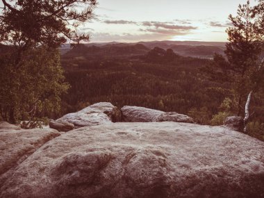 Dağlara, zirvelere ve yuvarlak orman zirvelerine tırmanmayürüyüşü