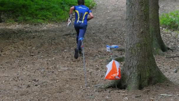 Läufer Passieren Orientierungslauf Kontrollpunkt Einem Wald Position Eines Trail Running — Stockvideo