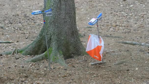 Person Run Hard Check Point Outdoor Orienteering Check Point Activity — Stock Video