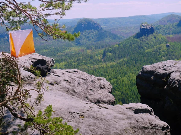 Oriental ejecutar en hermosa zona rocosa en el bosque profundo . — Foto de Stock