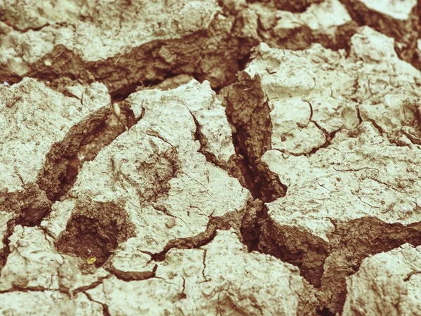 Salt  dry dark brown soil earth land ground. Environmental texture — Stock Photo, Image