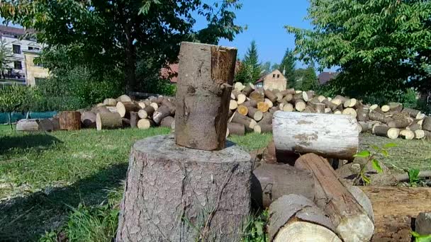 Young Man Axe Chopping Wood Chopping Block Man Chopp Wood — Stock Video