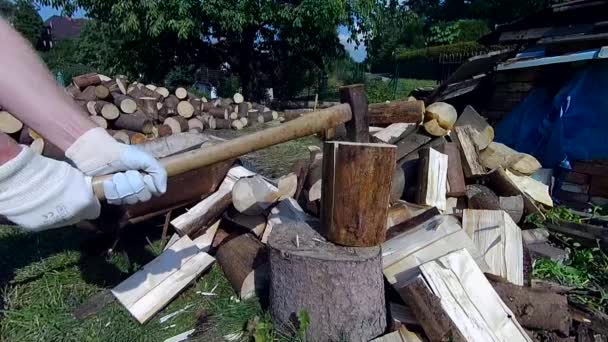 Zpomaleně Mužský Lumberjack Černém Červeném Kostním Tričku Sekyrou Která Sekne — Stock video