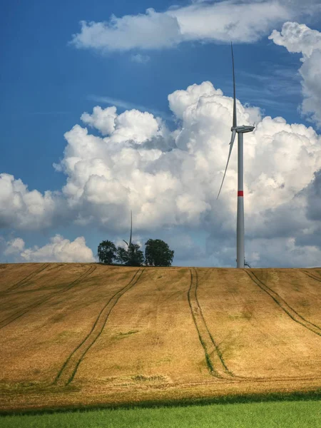 Velké větrné mlýny za slunečného dne na zeleném poli. Energie zdarma — Stock fotografie
